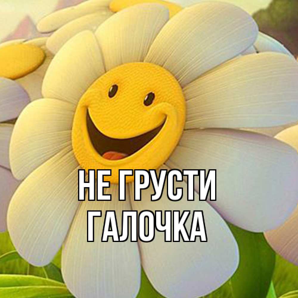 Открытка на каждый день с именем, Галочка Не грусти огромная улыбающаяся ромашуща Прикольная открытка с пожеланием онлайн скачать бесплатно 