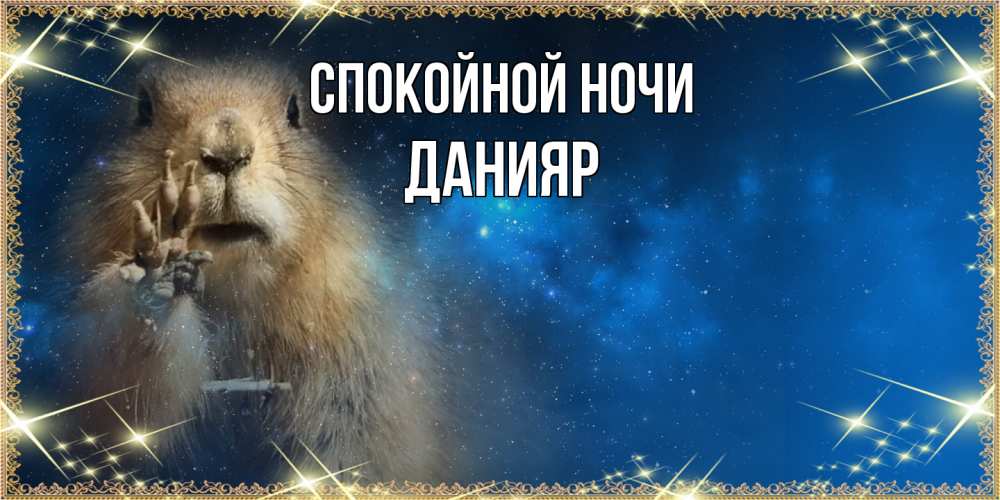 Открытка на каждый день с именем, Данияр Спокойной ночи спокойной ночи сладких снов Прикольная открытка с пожеланием онлайн скачать бесплатно 