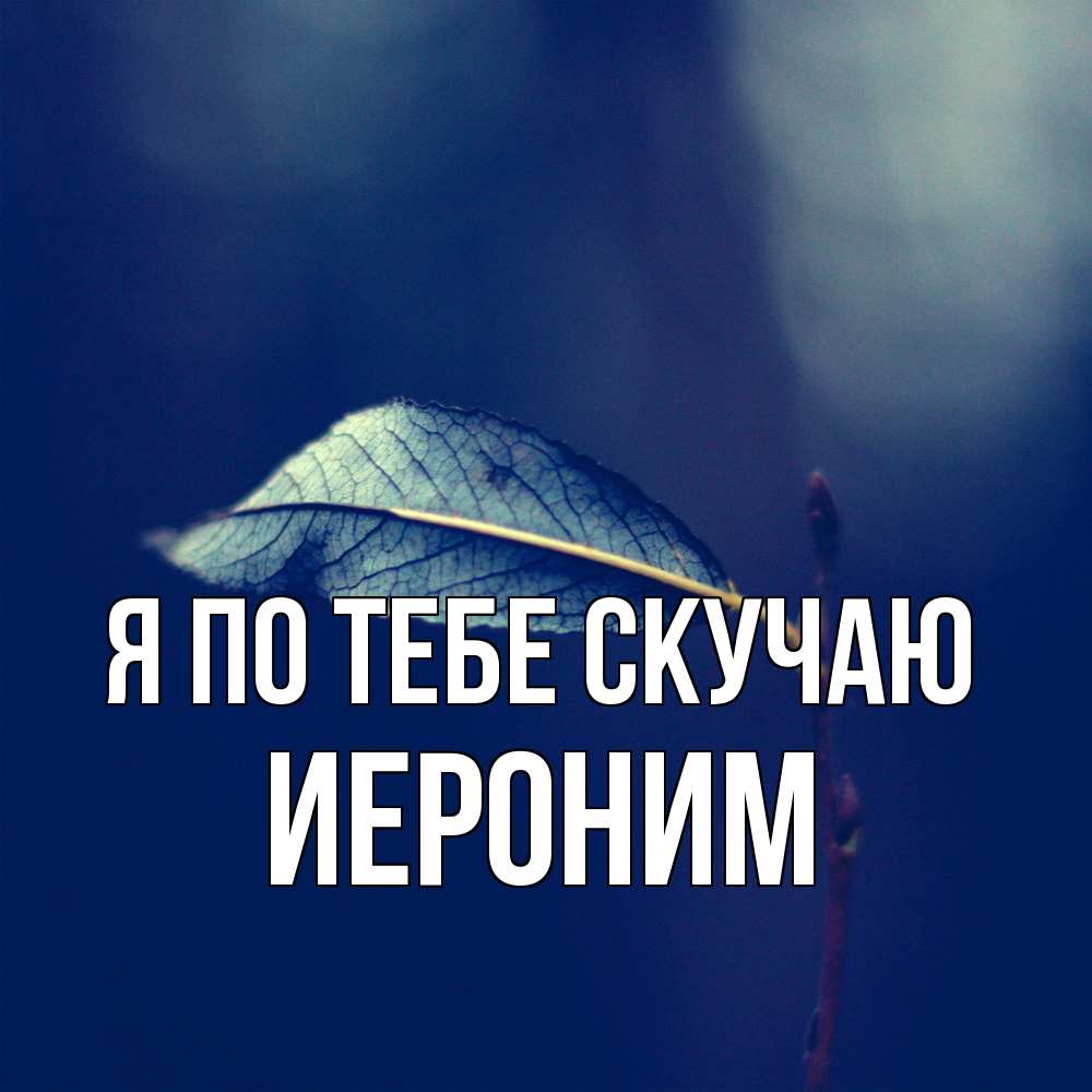 Открытка на каждый день с именем, Иероним Я по тебе скучаю одна ветка 1 Прикольная открытка с пожеланием онлайн скачать бесплатно 