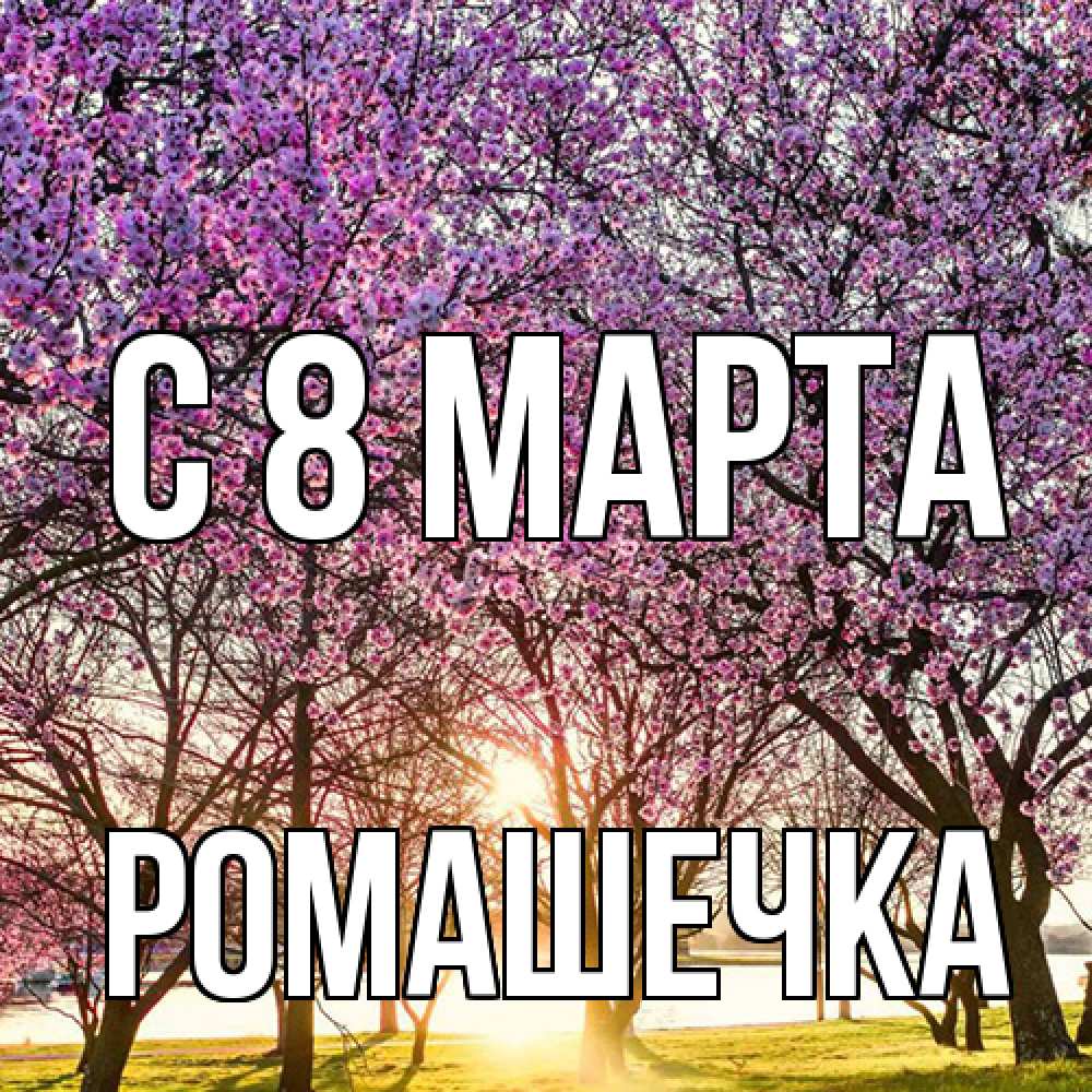 Открытка на каждый день с именем, Ромашечка C 8 МАРТА международный женский день Прикольная открытка с пожеланием онлайн скачать бесплатно 