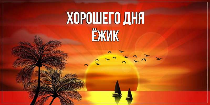 Картинка Хорошего дня, Ёжик