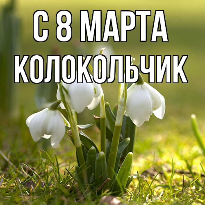 Картинка C 8 МАРТА, Колокольчик