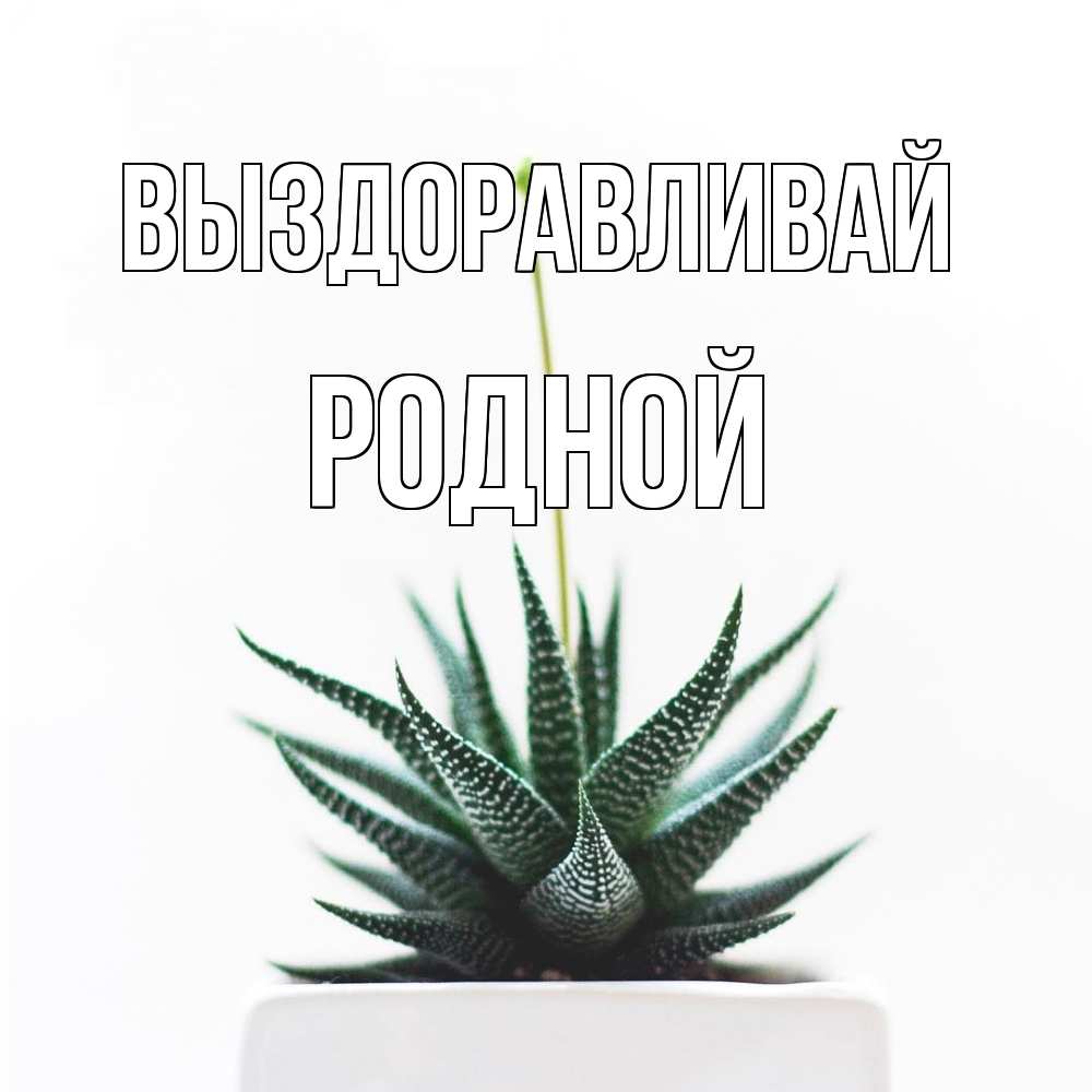 Открытка на каждый день с именем, Родной Выздоравливай короче это непонятная колючка Прикольная открытка с пожеланием онлайн скачать бесплатно 