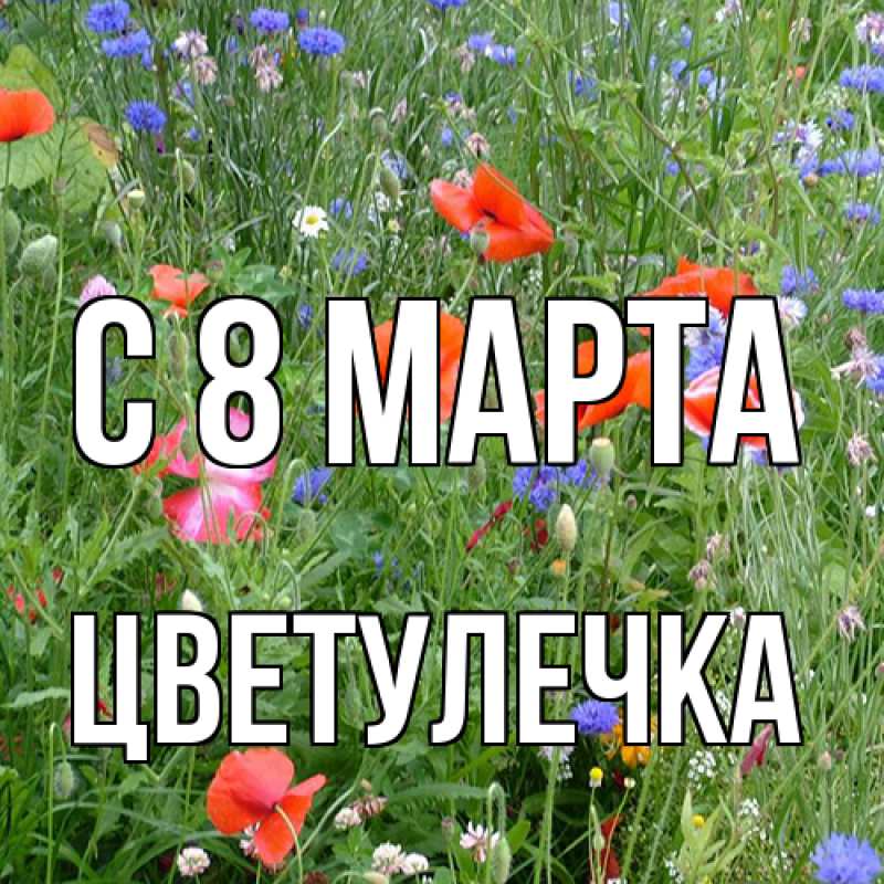Картинка C 8 МАРТА, Цветулечка