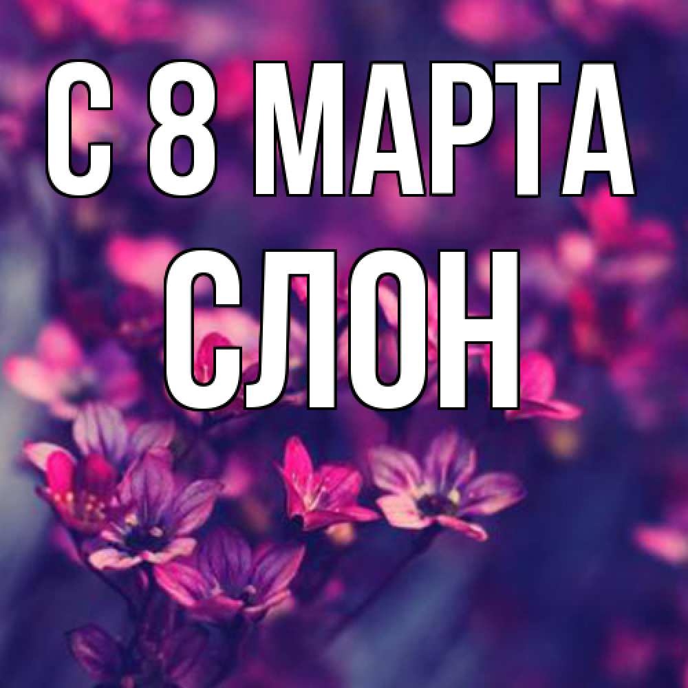 Открытка на каждый день с именем, Слон C 8 МАРТА небольшие цветы 1 Прикольная открытка с пожеланием онлайн скачать бесплатно 