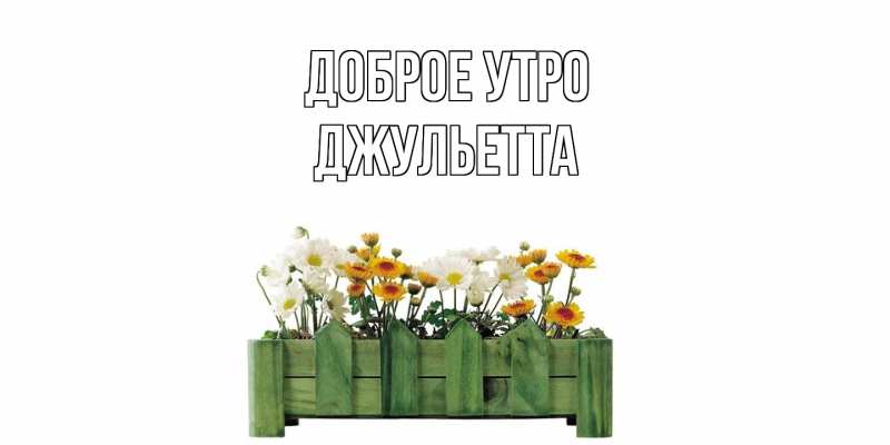 Картинка Доброе утро, Джульетта