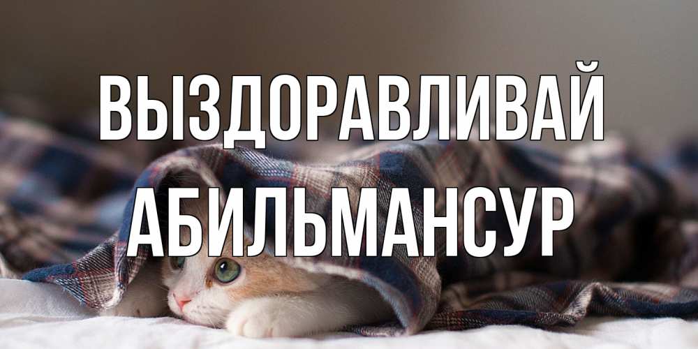 Открытка на каждый день с именем, Абильмансур Выздоравливай не болейте с котиком Прикольная открытка с пожеланием онлайн скачать бесплатно 