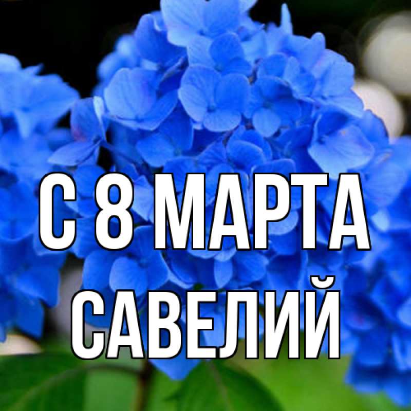 Картинка C 8 МАРТА, Савелий