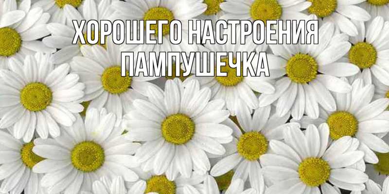 Картинка Хорошего настроения, пампушечка