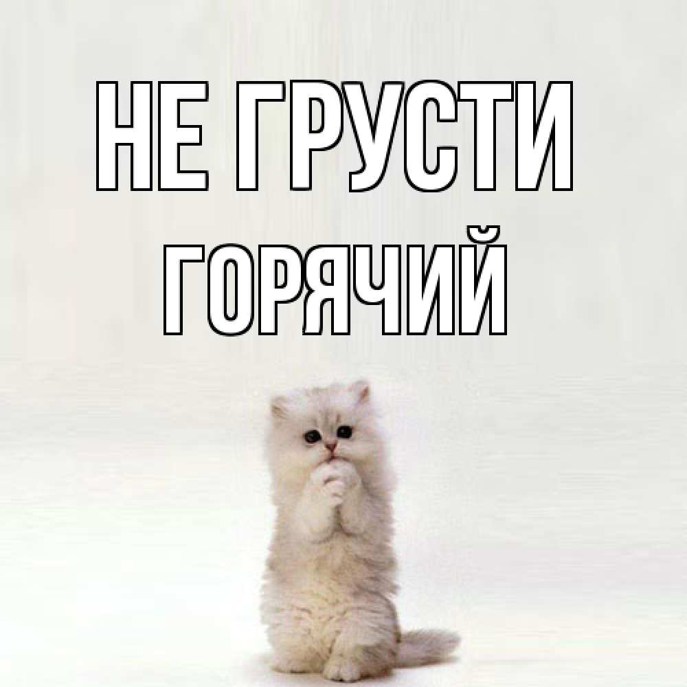 Открытка на каждый день с именем, Горячий Не грусти грустный кот Прикольная открытка с пожеланием онлайн скачать бесплатно 