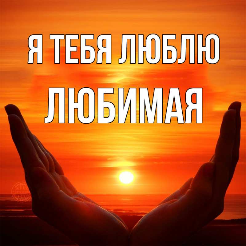 Картинка Я тебя люблю, Любимая