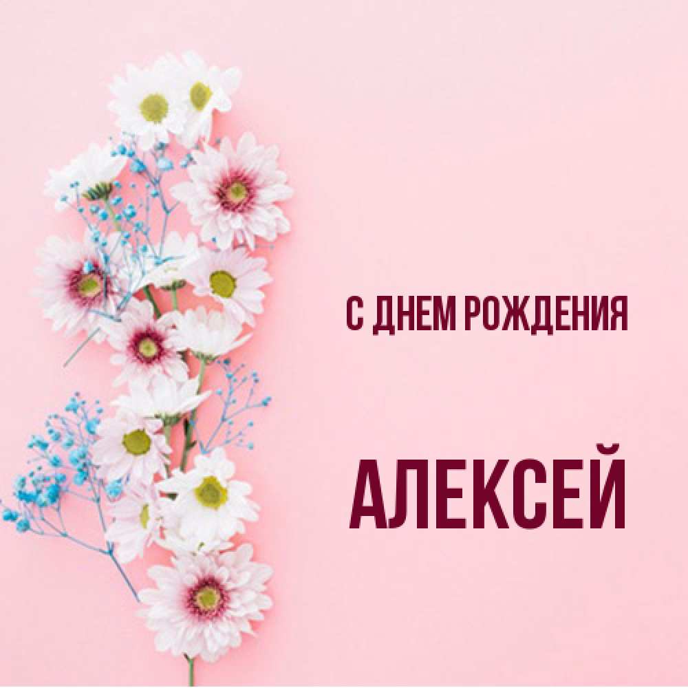 Открытка на каждый день с именем, Алексей С днем рождения Родная моя с днем рождения тебя картинка с цветами белыми и голубыми Прикольная открытка с пожеланием онлайн скачать бесплатно 