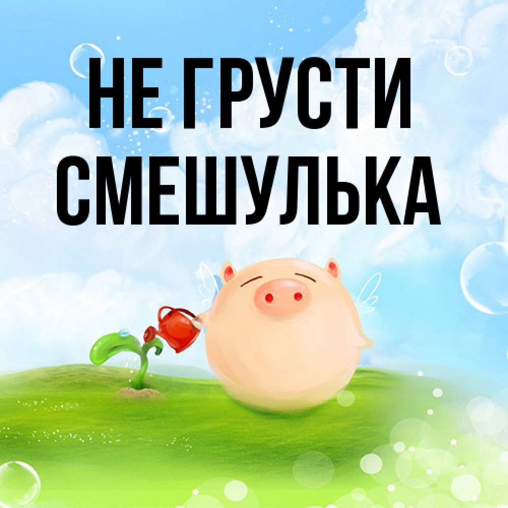 Открытка на каждый день с именем, Смешулька Не грусти поливает цветок порося Прикольная открытка с пожеланием онлайн скачать бесплатно 