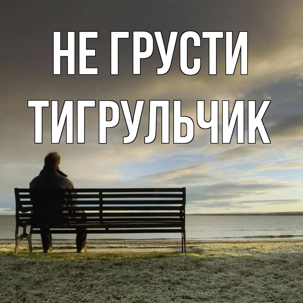 Открытка на каждый день с именем, Тигpульчик Не грусти озеро Прикольная открытка с пожеланием онлайн скачать бесплатно 