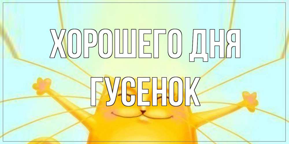 Открытка на каждый день с именем, гусенок Хорошего дня обнимашки Прикольная открытка с пожеланием онлайн скачать бесплатно 