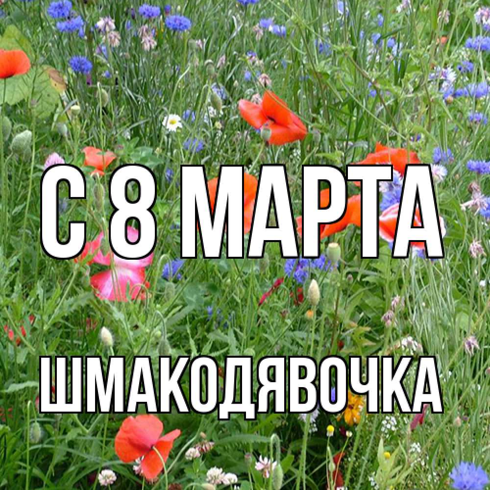 Открытка на каждый день с именем, шмакодявочка C 8 МАРТА международный женский день 4 Прикольная открытка с пожеланием онлайн скачать бесплатно 