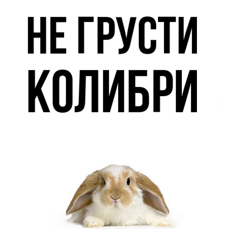 Картинка Не грусти, Колибри