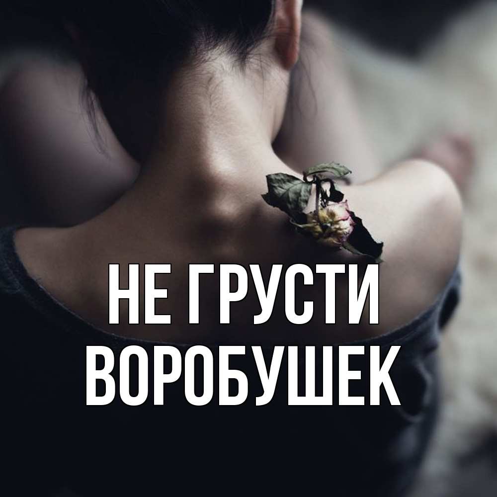 Открытка на каждый день с именем, Воробушек Не грусти девушка со спины Прикольная открытка с пожеланием онлайн скачать бесплатно 