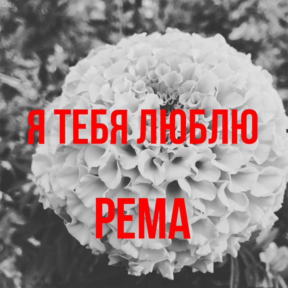 Открытка на каждый день с именем, Рема Я тебя люблю подпись Прикольная открытка с пожеланием онлайн скачать бесплатно 