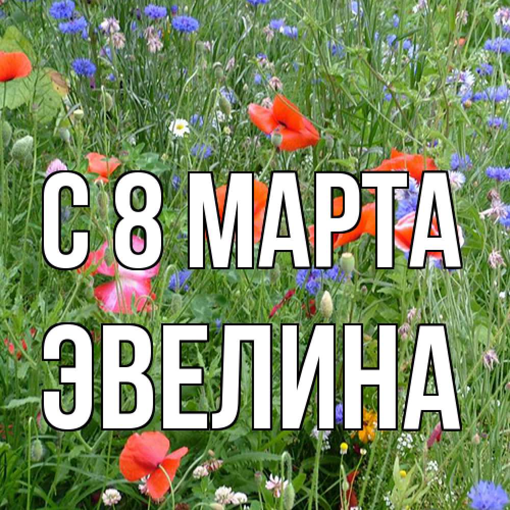 Открытка на каждый день с именем, Эвелина C 8 МАРТА международный женский день 4 Прикольная открытка с пожеланием онлайн скачать бесплатно 