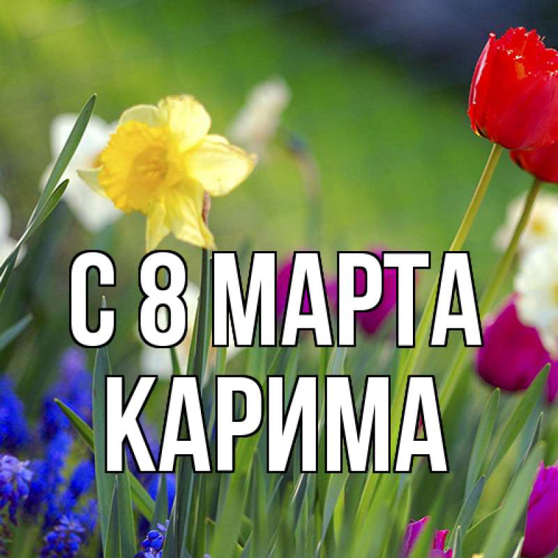 Картинка C 8 МАРТА, Карима
