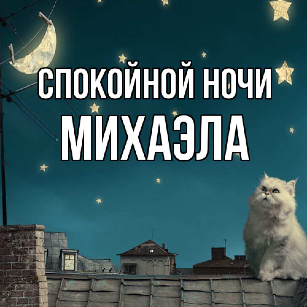 Открытка на каждый день с именем, Михаэла Спокойной ночи белый кот сидит на крыше Прикольная открытка с пожеланием онлайн скачать бесплатно 