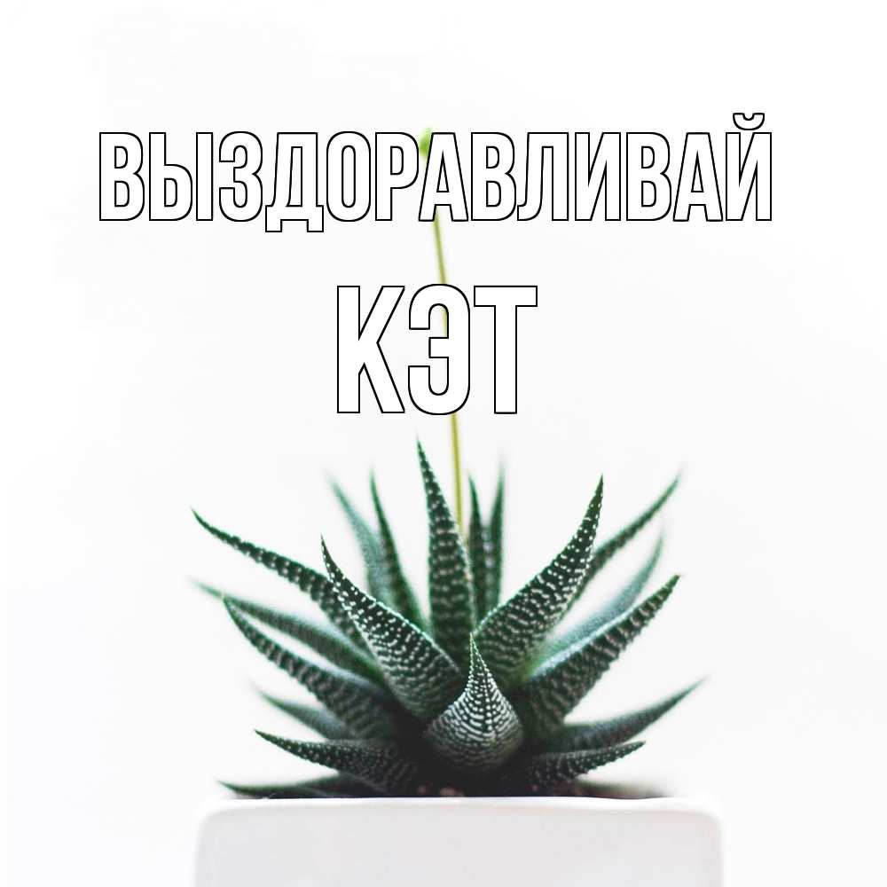 Открытка на каждый день с именем, Кэт Выздоравливай короче это непонятная колючка Прикольная открытка с пожеланием онлайн скачать бесплатно 