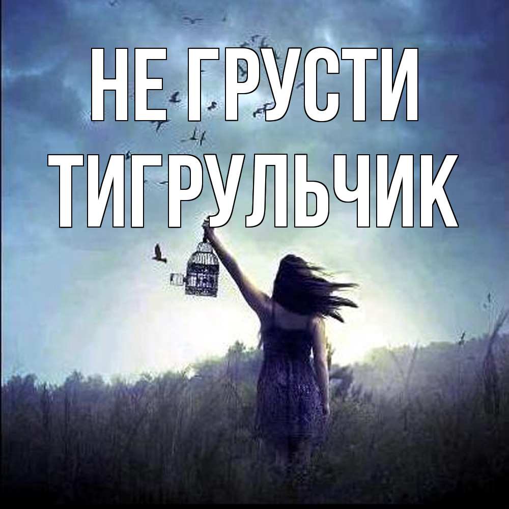 Открытка на каждый день с именем, Тигpульчик Не грусти на волю Прикольная открытка с пожеланием онлайн скачать бесплатно 