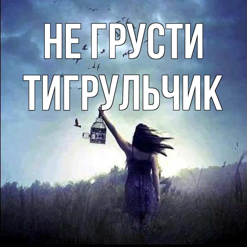 Картинка Не грусти, Тигpульчик