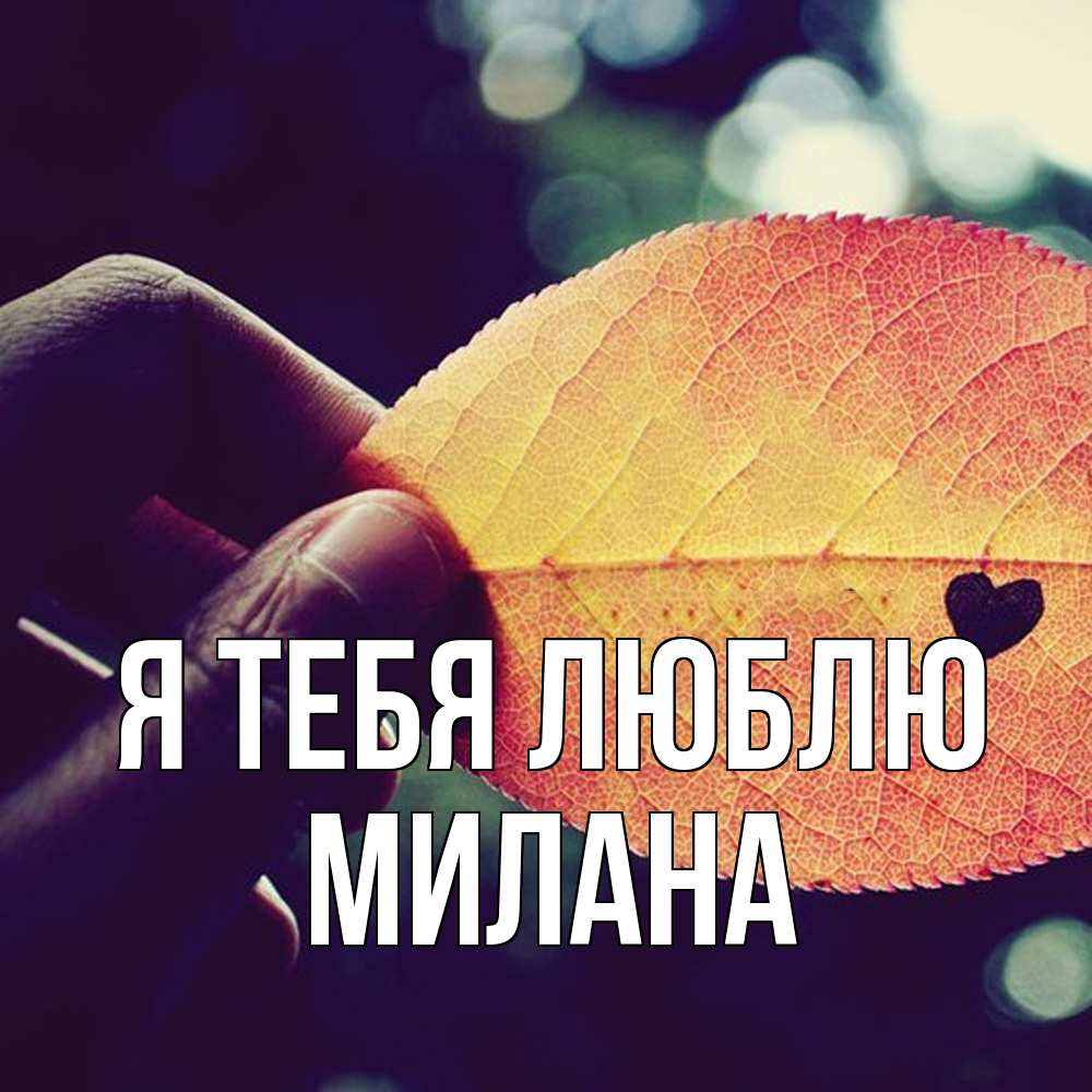 Открытка на каждый день с именем, Милана Я тебя люблю держу лист Прикольная открытка с пожеланием онлайн скачать бесплатно 
