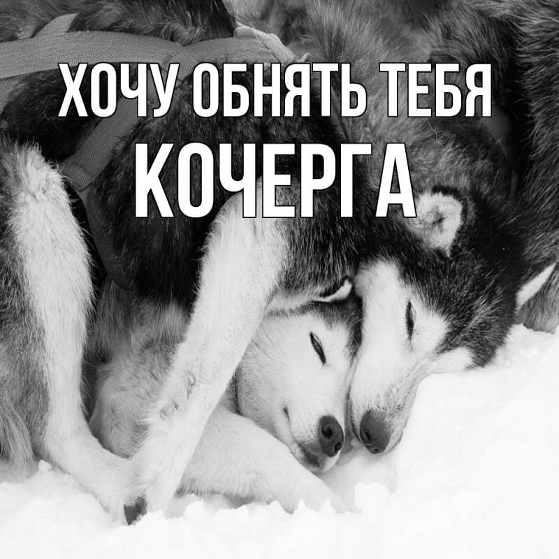 Картинка Хочу обнять тебя, Кочерга