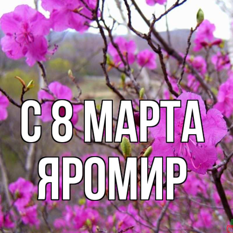 Картинка C 8 МАРТА, Яромир