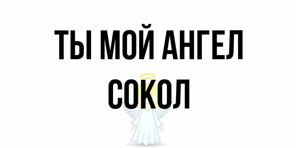 Открытка на каждый день с именем, Сокол Ты мой ангел ангел Прикольная открытка с пожеланием онлайн скачать бесплатно 