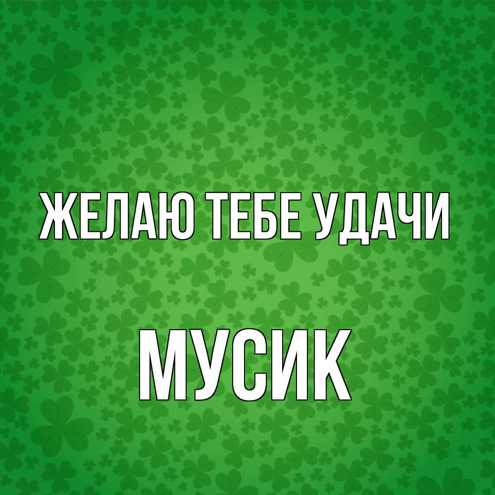 Открытка на каждый день с именем, мусик Желаю тебе удачи много листочков на удачу Прикольная открытка с пожеланием онлайн скачать бесплатно 