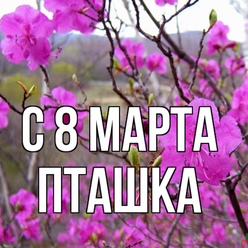 Картинка C 8 МАРТА, пташка