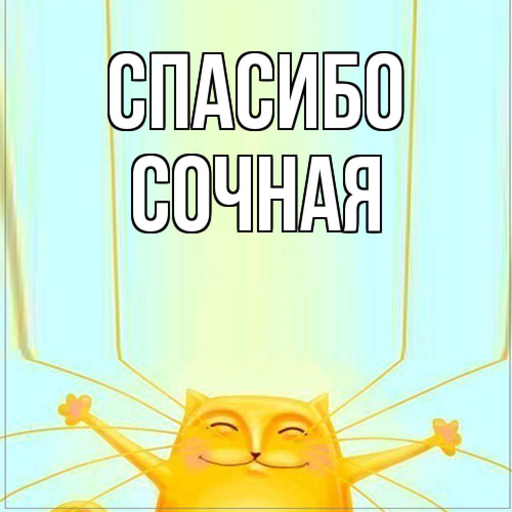 Открытка на каждый день с именем, Сочная Спасибо кот с усами благодарит Прикольная открытка с пожеланием онлайн скачать бесплатно 