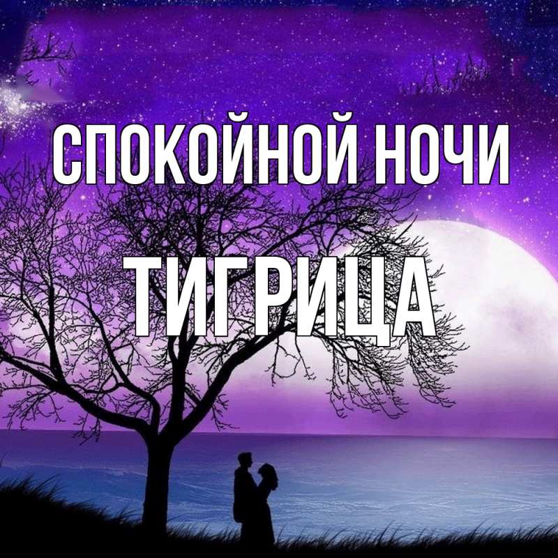 Картинка Спокойной ночи, Тигрица