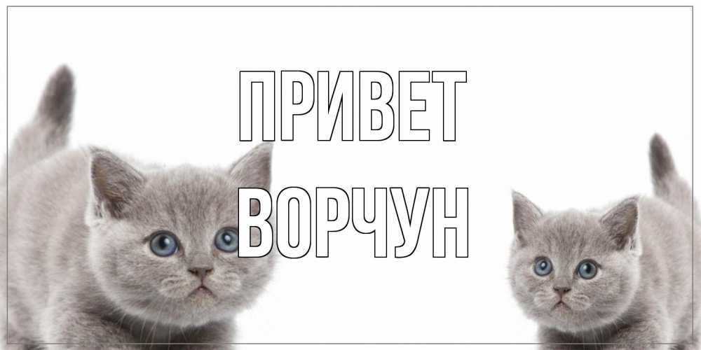 Открытка на каждый день с именем, Ворчун Привет коты Прикольная открытка с пожеланием онлайн скачать бесплатно 