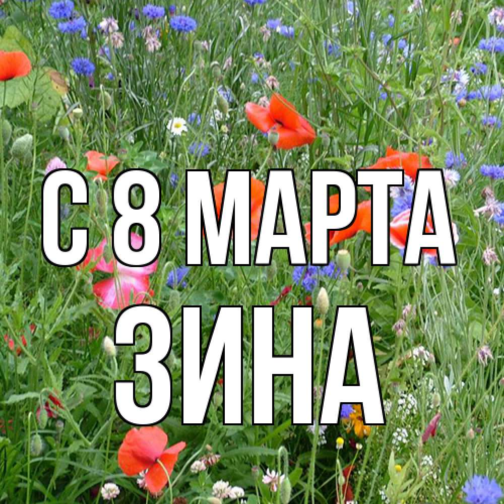 Открытка на каждый день с именем, Зина C 8 МАРТА международный женский день 4 Прикольная открытка с пожеланием онлайн скачать бесплатно 