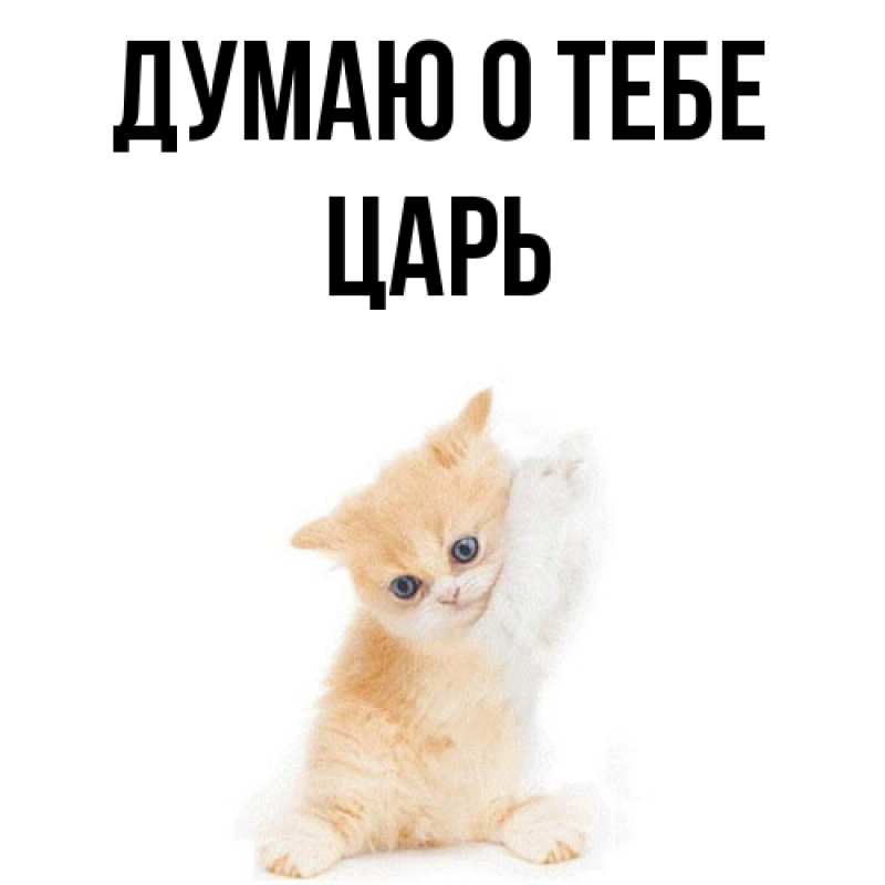 Картинка Думаю о тебе, Царь