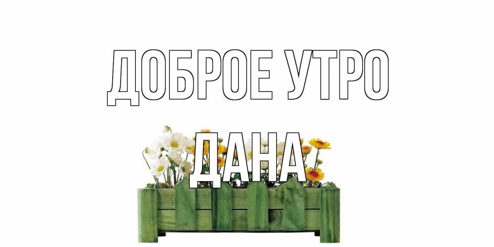 Открытка на каждый день с именем, Дана Доброе утро цветы Прикольная открытка с пожеланием онлайн скачать бесплатно 