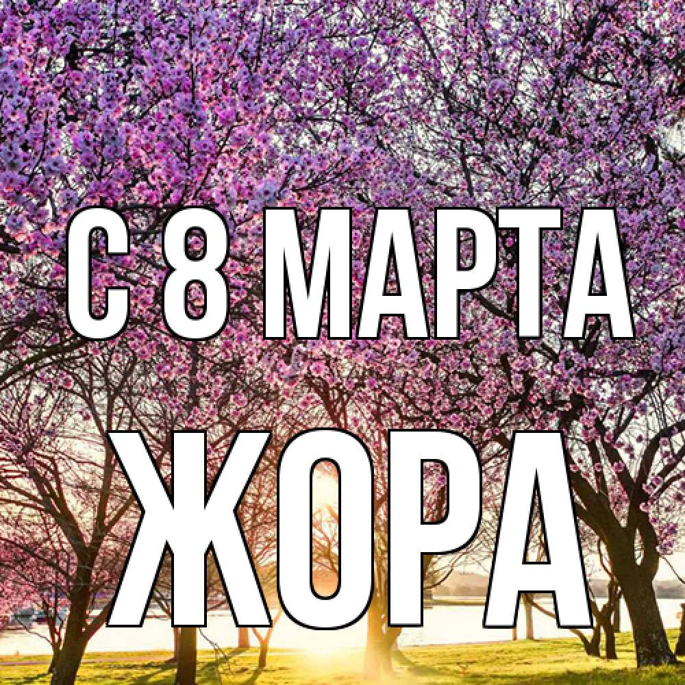 Открытка на каждый день с именем, Жора C 8 МАРТА международный женский день Прикольная открытка с пожеланием онлайн скачать бесплатно 