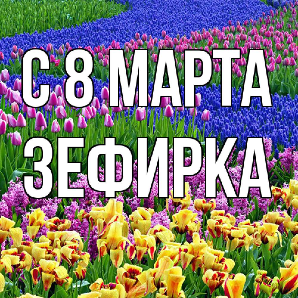 Открытка на каждый день с именем, зефирка C 8 МАРТА цветы Прикольная открытка с пожеланием онлайн скачать бесплатно 