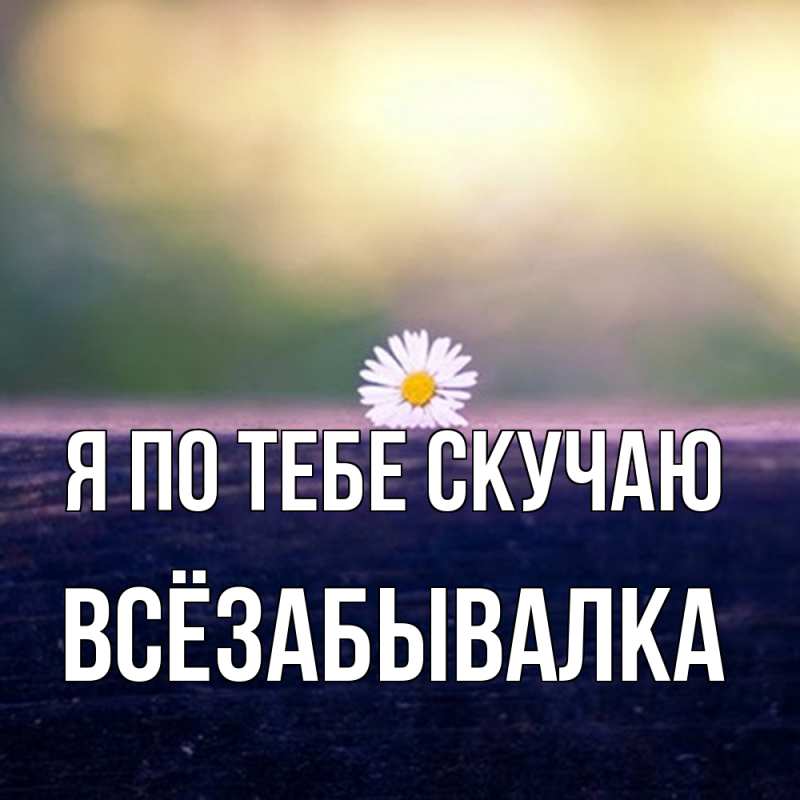 Картинка Я по тебе скучаю, Всёзабывалка