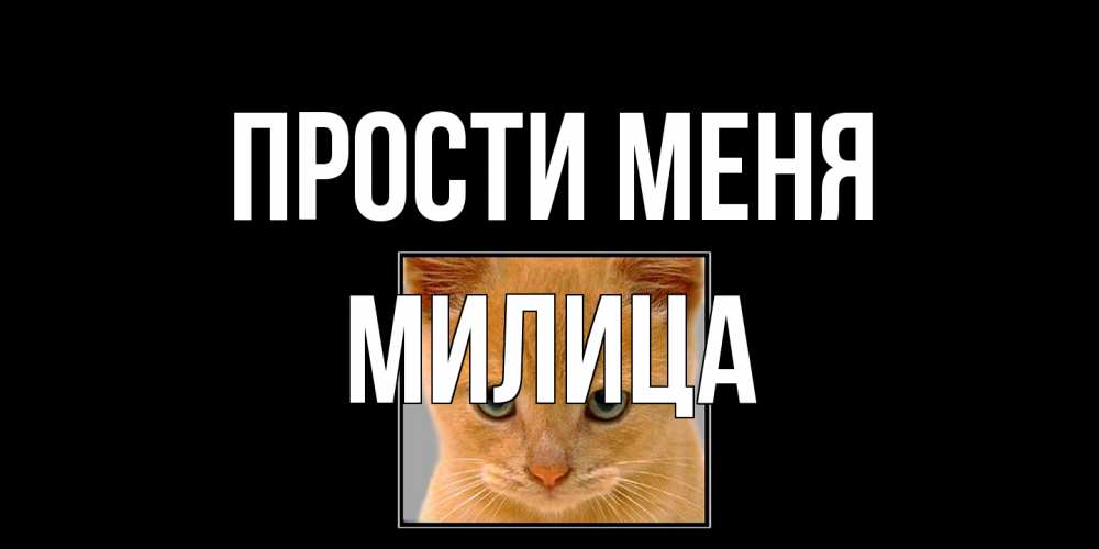 Открытка на каждый день с именем, Милица Прости меня рыжий грустный кот просит прощения Прикольная открытка с пожеланием онлайн скачать бесплатно 