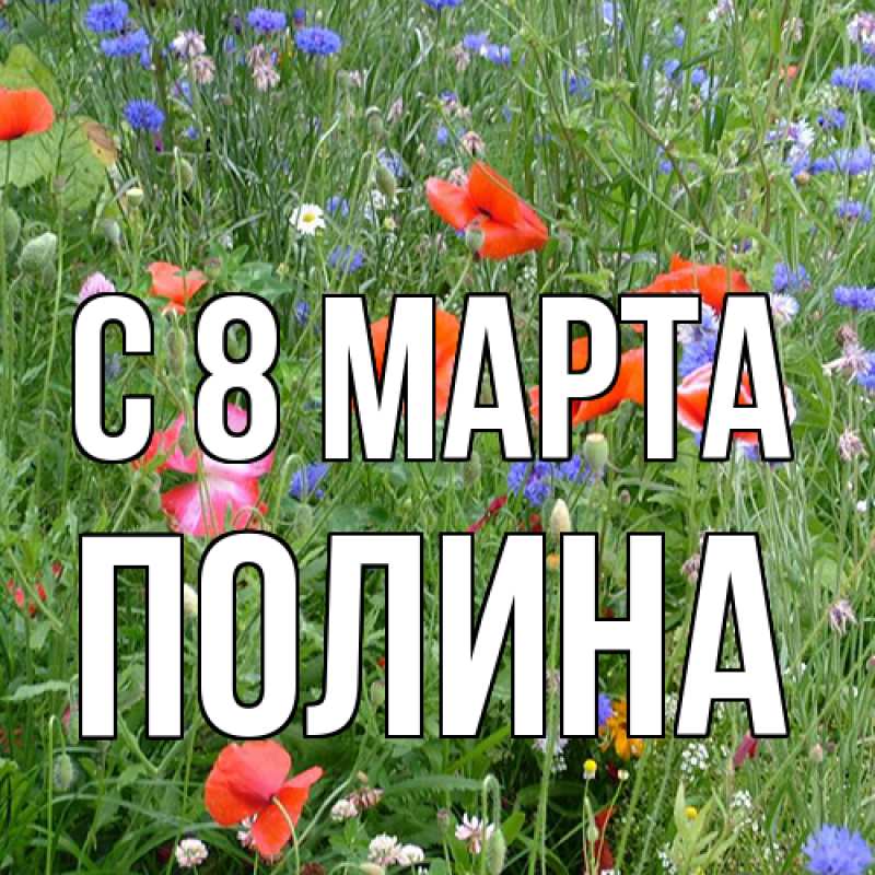 Картинка C 8 МАРТА, полина