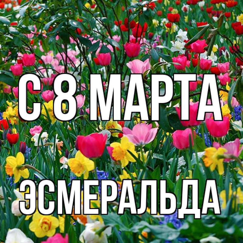 Картинка C 8 МАРТА, Эсмеральда