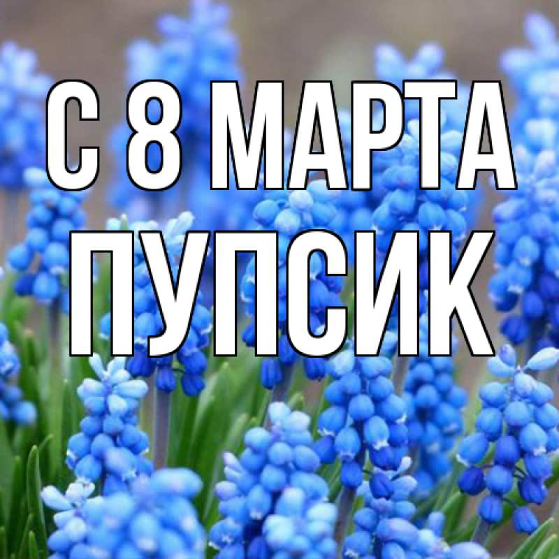 Картинка C 8 МАРТА, пупсик