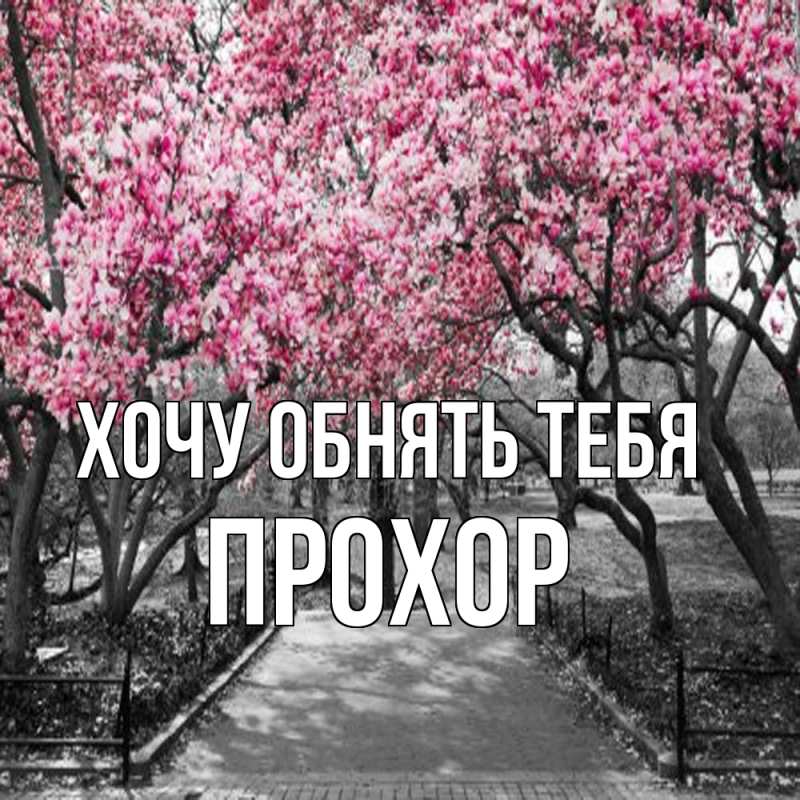 Картинка Хочу обнять тебя, Прохор
