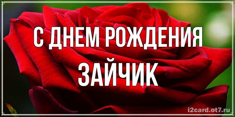 Открытка с именем, зайчик, С днем рождения